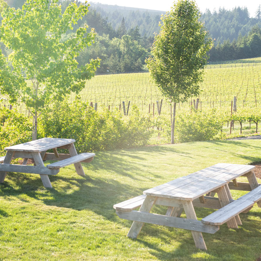 Bjornson_Vineyard_Willamette Valley_Eola Amity Hills_Family Owned Winery_Footer 03