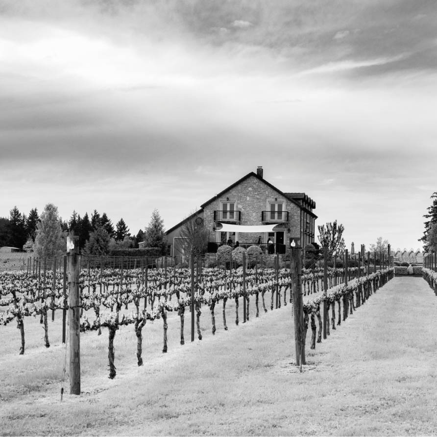 Bjornson_Vineyard_Willamette Valley_Eola Amity Hills_Family Owned Winery_Footer 04